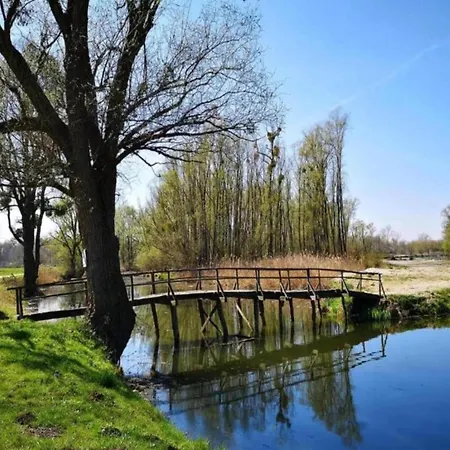 Lejlighed Spacious In With Swimming Pool *