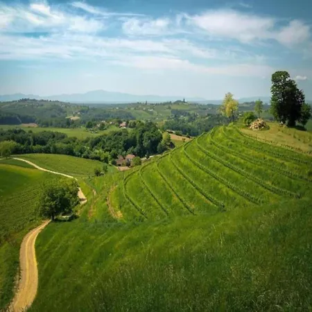 アパート Spacious In With Swimming Pool *