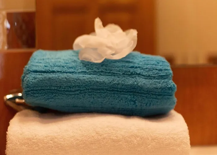 Spacious In With Swimming Pool