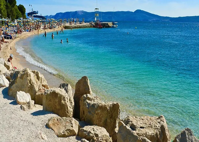 Spacious In With Swimming Pool Daire