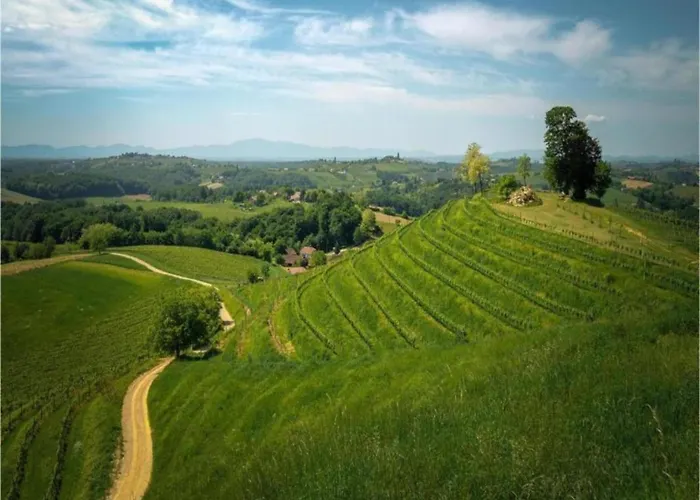 Daire Spacious In With Swimming Pool *