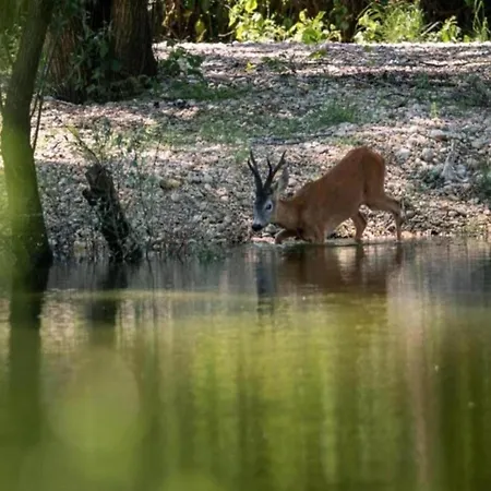 Apartmán Spacious In With Swimming Pool Dramalj