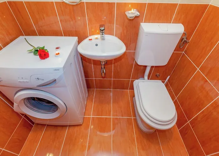 Spacious In With Swimming Pool *